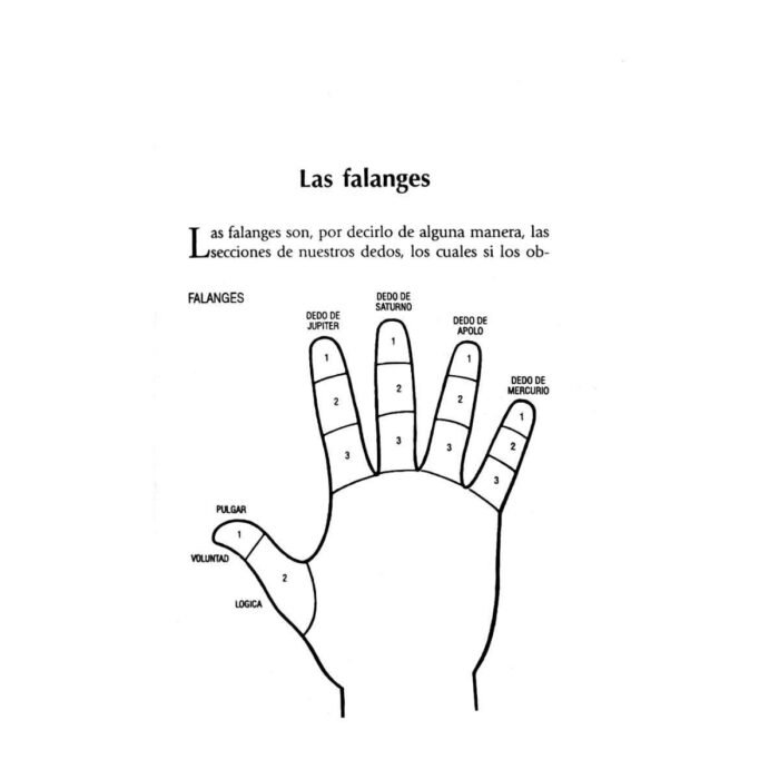 Libro Metodo Completo De La Lectura De La Mano Quiromancia