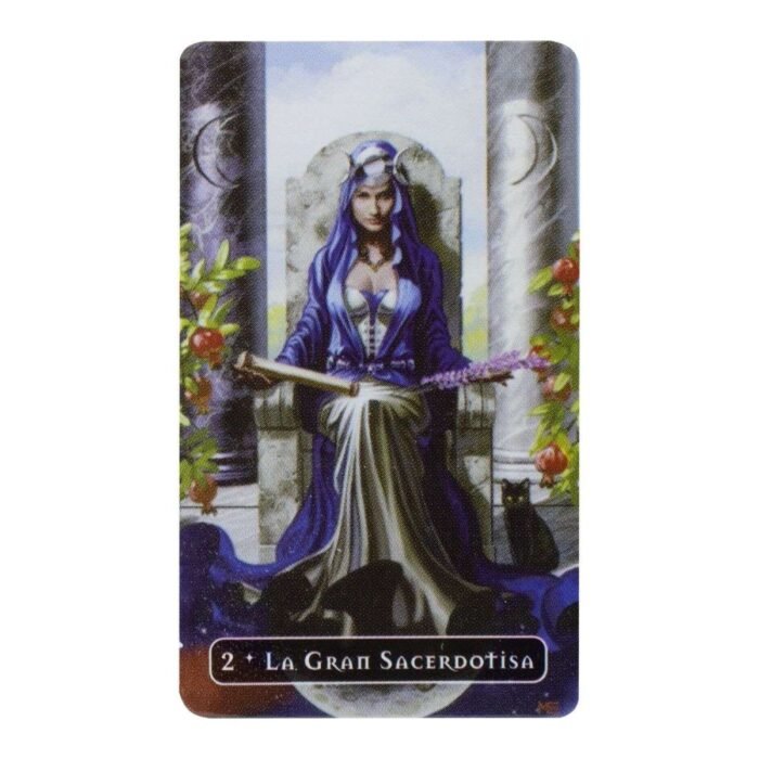 Cartas Tarot Version Mini De Las Brujas Witches Manual En Es