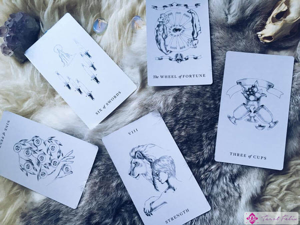 Un ejemplo de lectura de tarot utilizando la tirada de luna llena de Leo