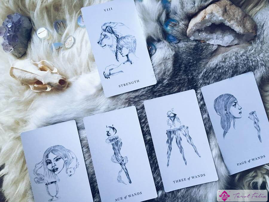 una luna nueva en la lectura del tarot leo 