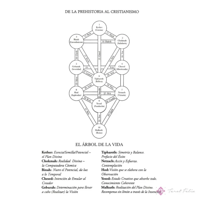 Reencarnación y Paz Espiritual: Explora la Vida Después de la Muerte con Paul Roland