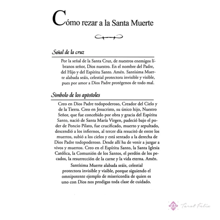 Estatua Santa Muerte Blanca 24cm + Libro de Armonía y Paz para el Hogar