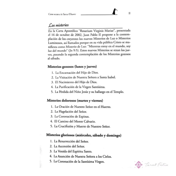 Santa Muerte Dorada 30cm para Prosperidad y Negocios + Libro Especial